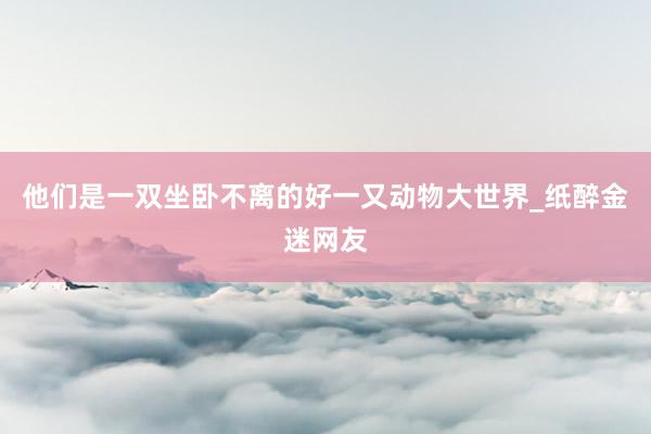 他们是一双坐卧不离的好一又动物大世界_纸醉金迷网友